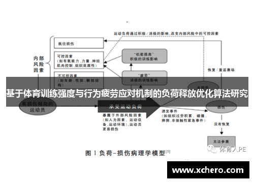 基于体育训练强度与行为疲劳应对机制的负荷释放优化算法研究